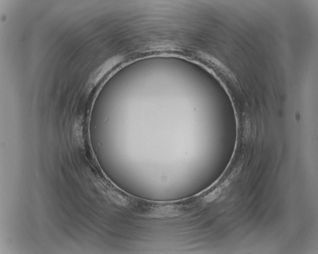 X0000078841162200611201306