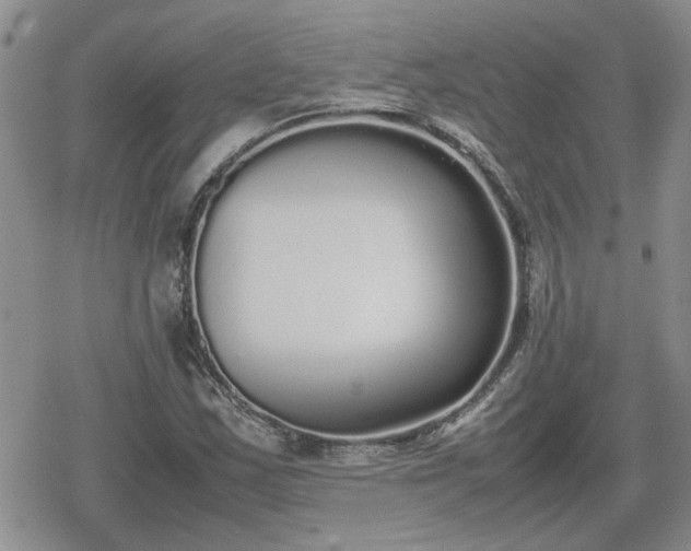 X0000078841163200611201306