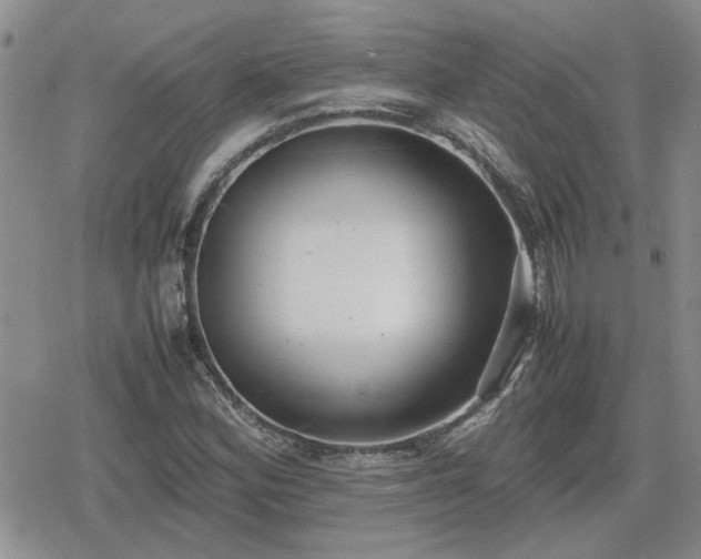 X0000078841164200611201306