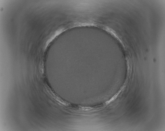 X0000078841165200611201306