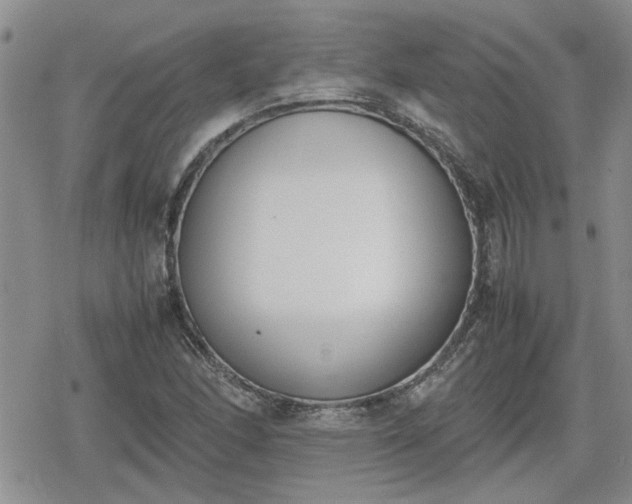 X0000078841166200611201306