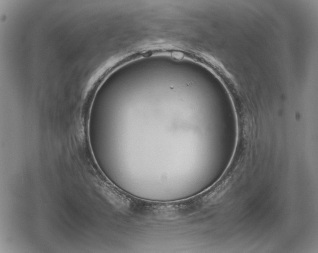 X0000078841167200611201306