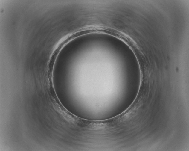 X0000078841168200611201306