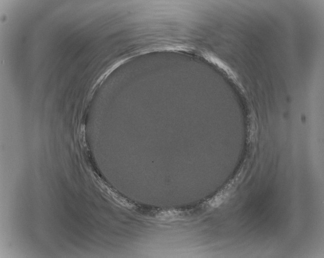 X0000078841169200611201306