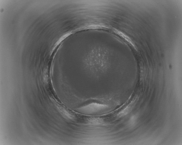 X0000078841170200611201306