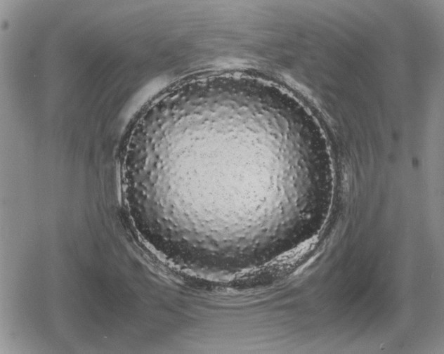 X0000078841171200611201306