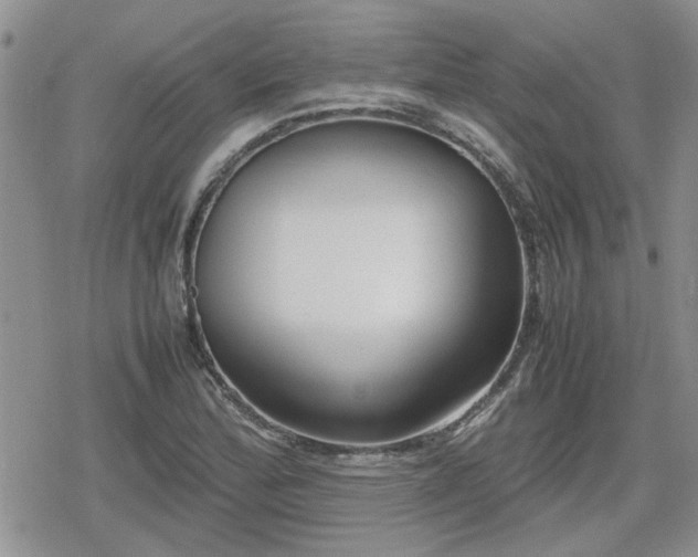 X0000078841172200611201306