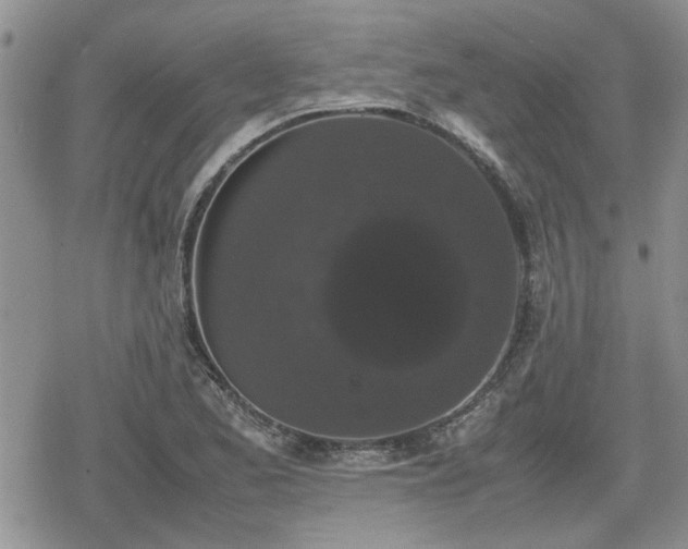 X0000078841173200611201306