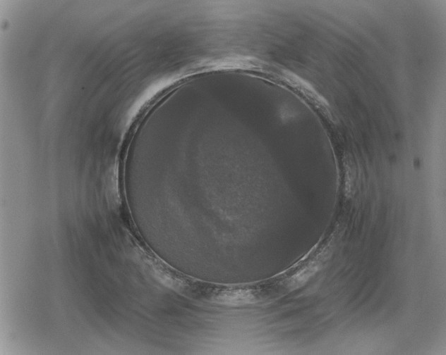 X0000078841174200611201306