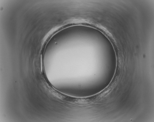 X0000078841175200611201306