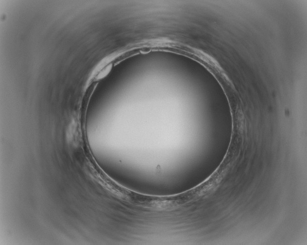 X0000078841176200611201306