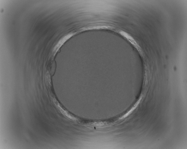 X0000078841177200611201306