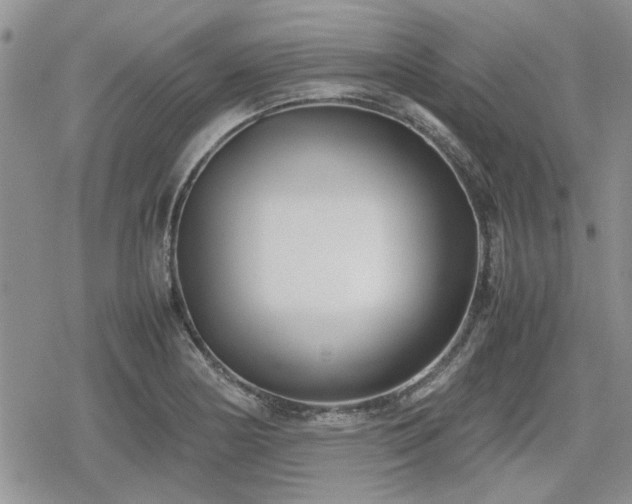 X0000078841178200611201306