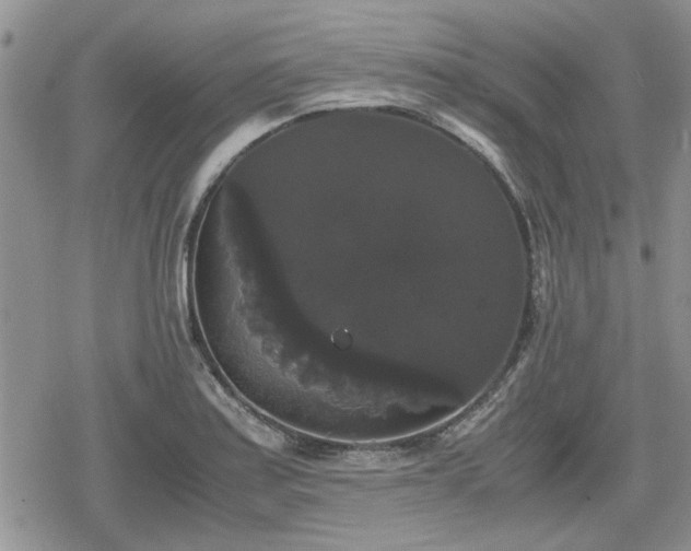 X0000078841179200611201305