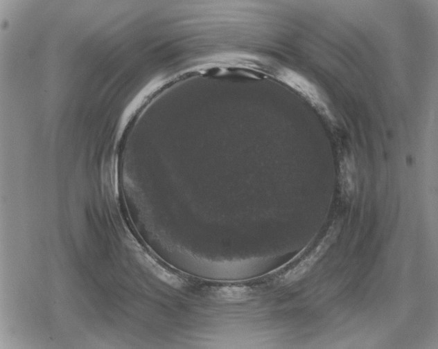 X0000078841180200611201305