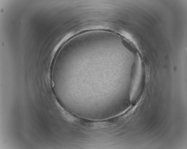 X0000078841181200611201305