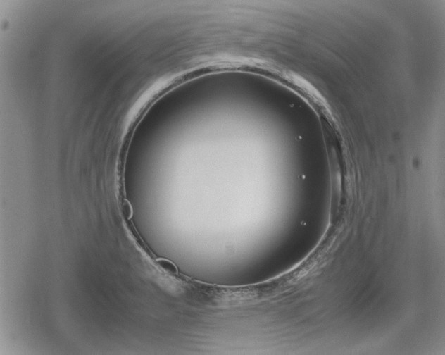 X0000078841183200611201305