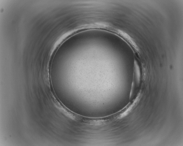 X0000078841184200611201305