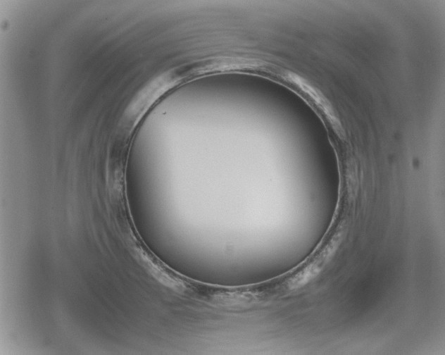 X0000078841185200611201305