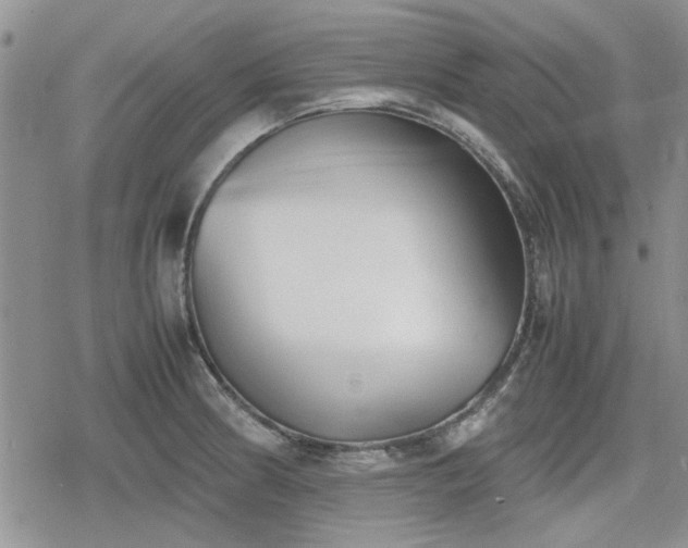 X0000078841186200611201305