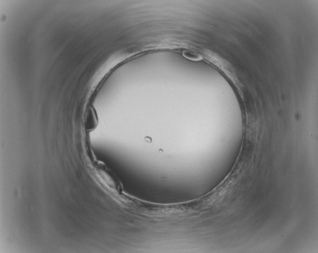 X0000078841187200611201305