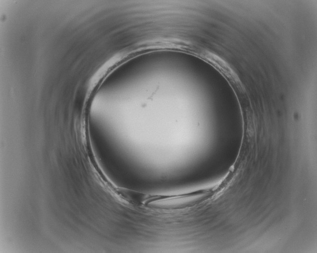 X0000078841188200611201305