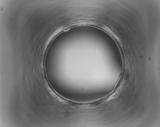 X0000078841189200611201305