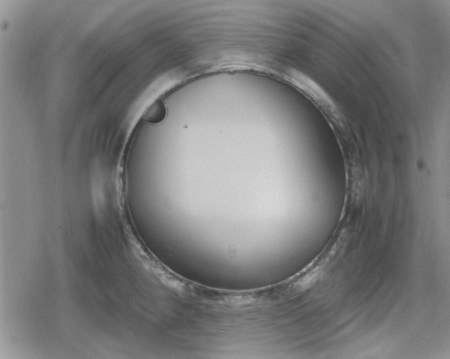 X0000078841190200611201305