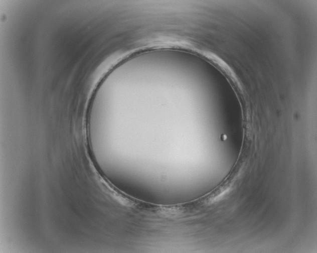 X0000078841191200611201305