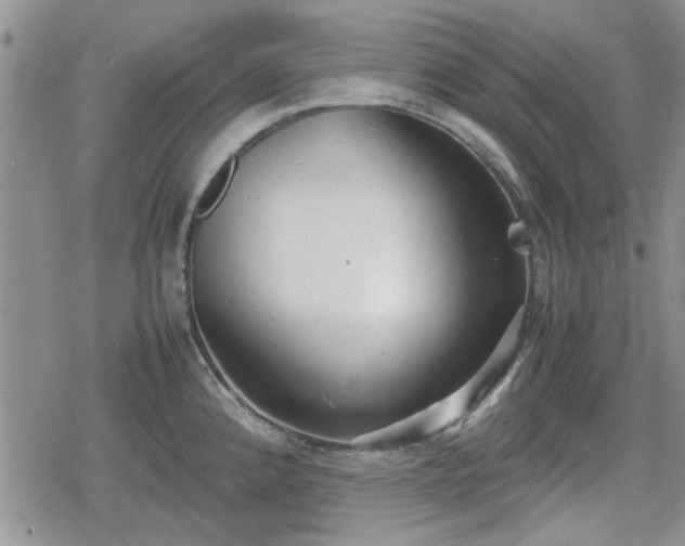 X0000078841192200611201305