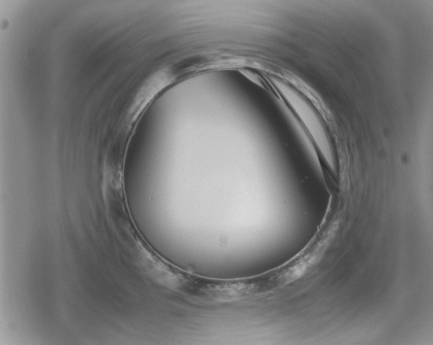 X0000078841193200611201305