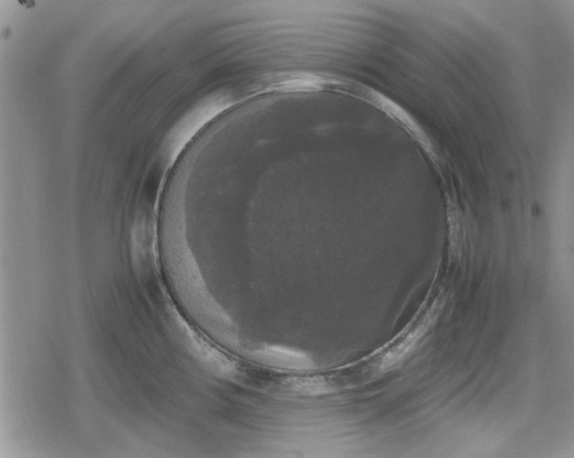 X0000078841194200611201305