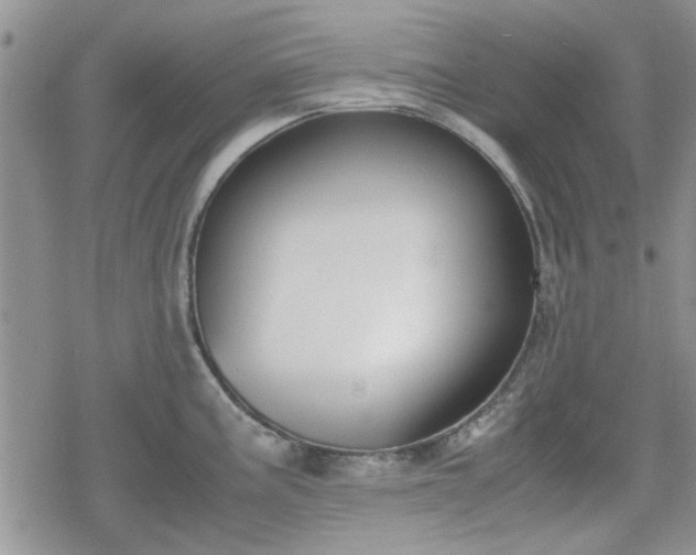 X0000078841195200611201305