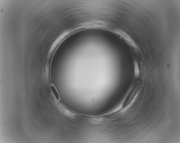 X0000078841196200611201305