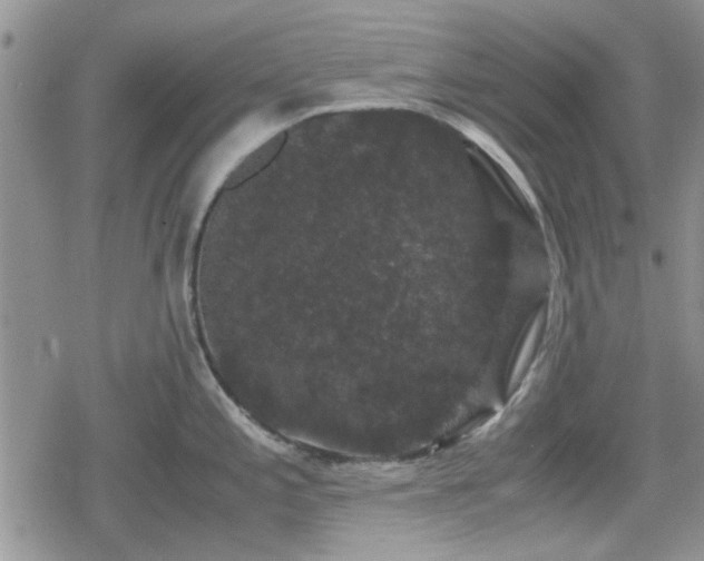 X0000078841197200611201305