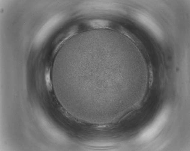 X0000078841198200611201305