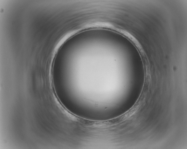 X0000078841199200611201305