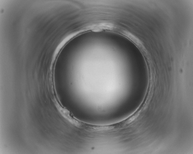 X0000078841200200611201305