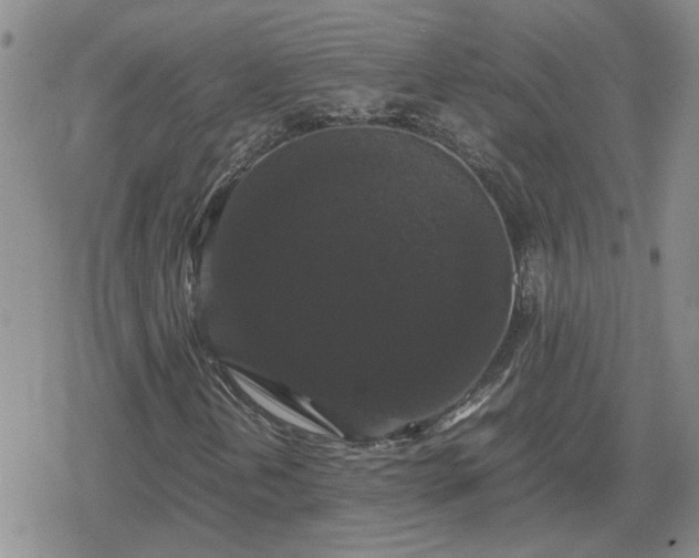 X0000078841202200611201304