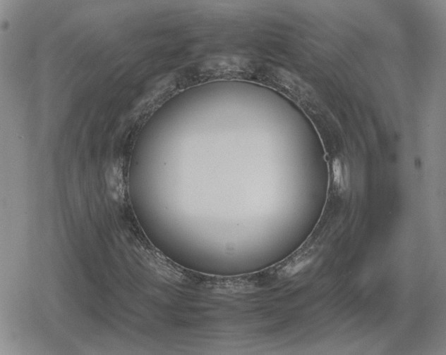 X0000078841203200611201304