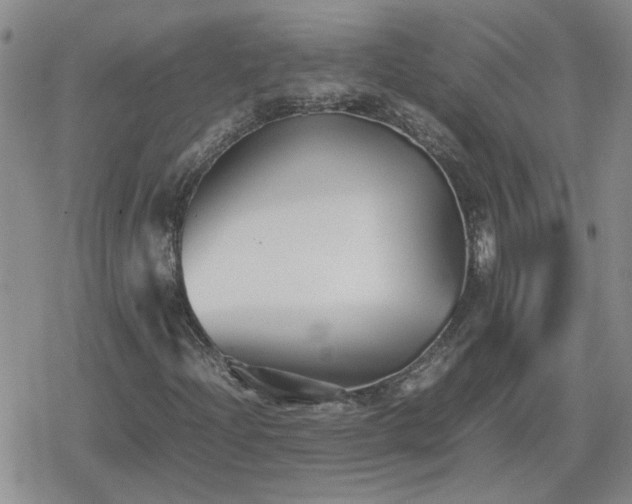 X0000078841204200611201304