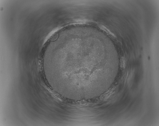 X0000078841208200611201304