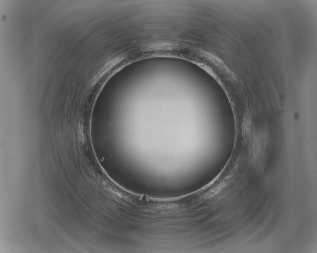 X0000078841209200611201305