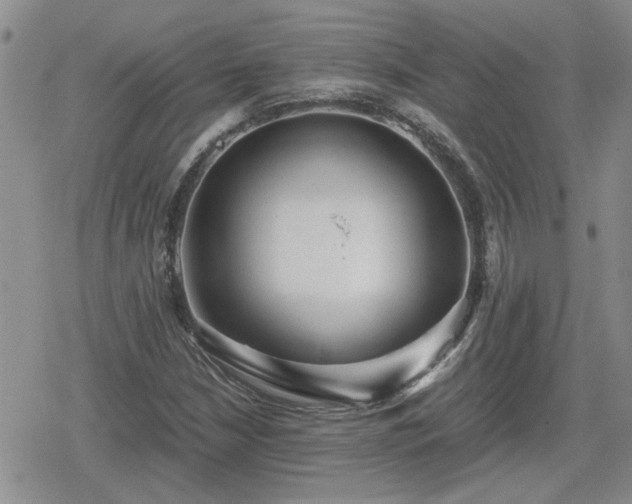 X0000078841210200611201305