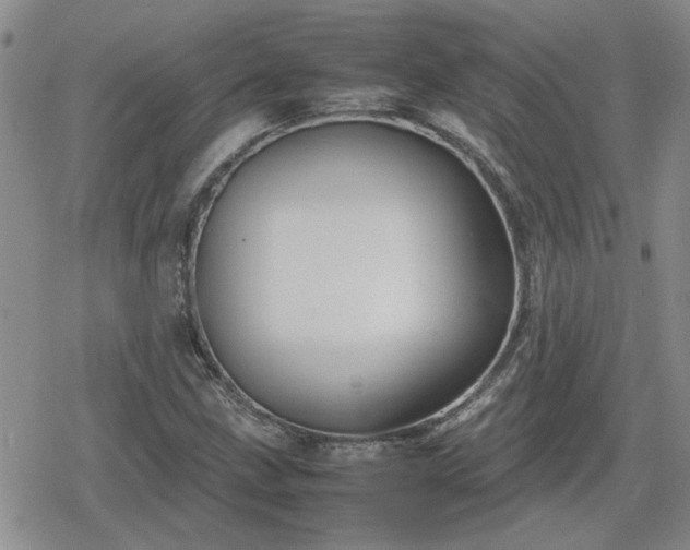 X0000078841211200611201305