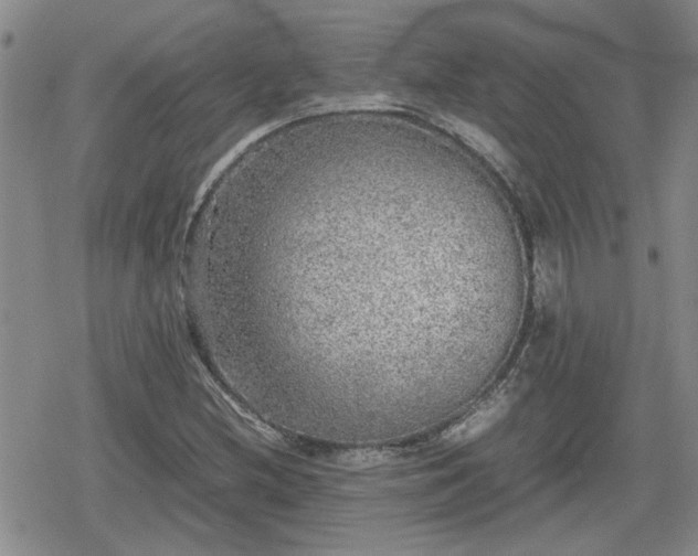 X0000078841212200611201305