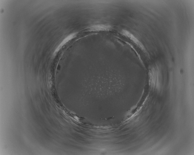 X0000078841213200611201305