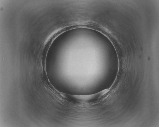 X0000078841214200611201305