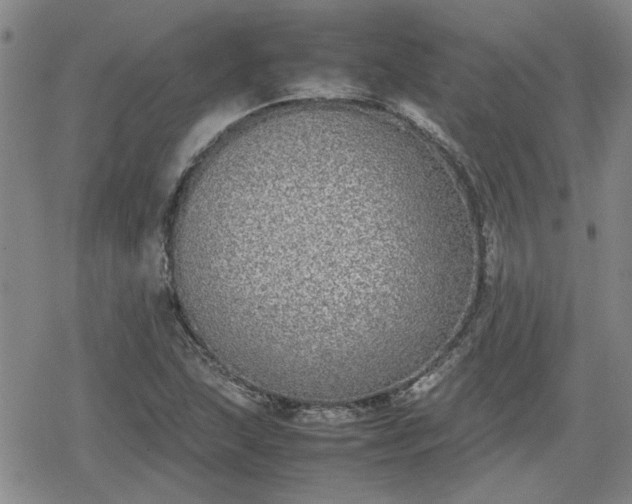 X0000078841215200611201305