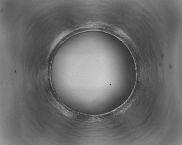 X0000078841216200611201305